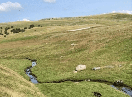 Green Hills Image