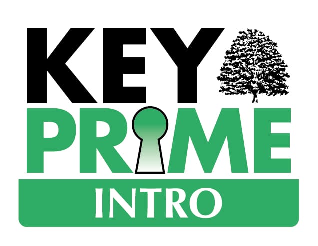 KEYPrime Intro Lage Image