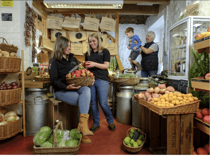 Ardross Farm Image 12