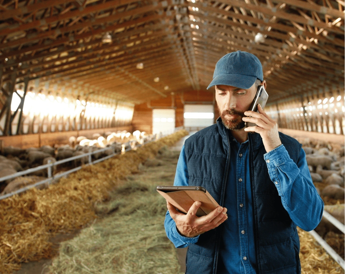 Farmer with a laptop image