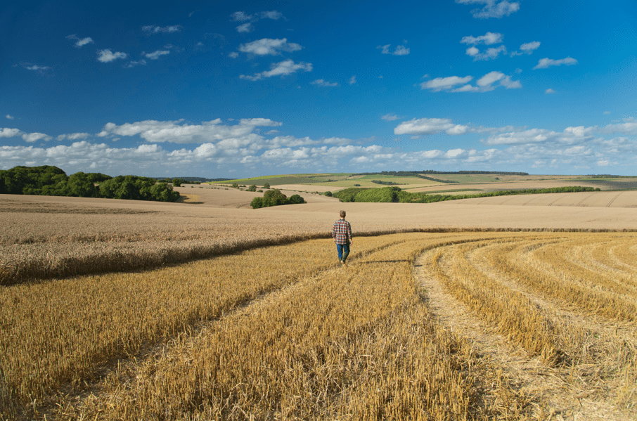 Geofolia Harvest and the New Crop Year Webinar - Landmark