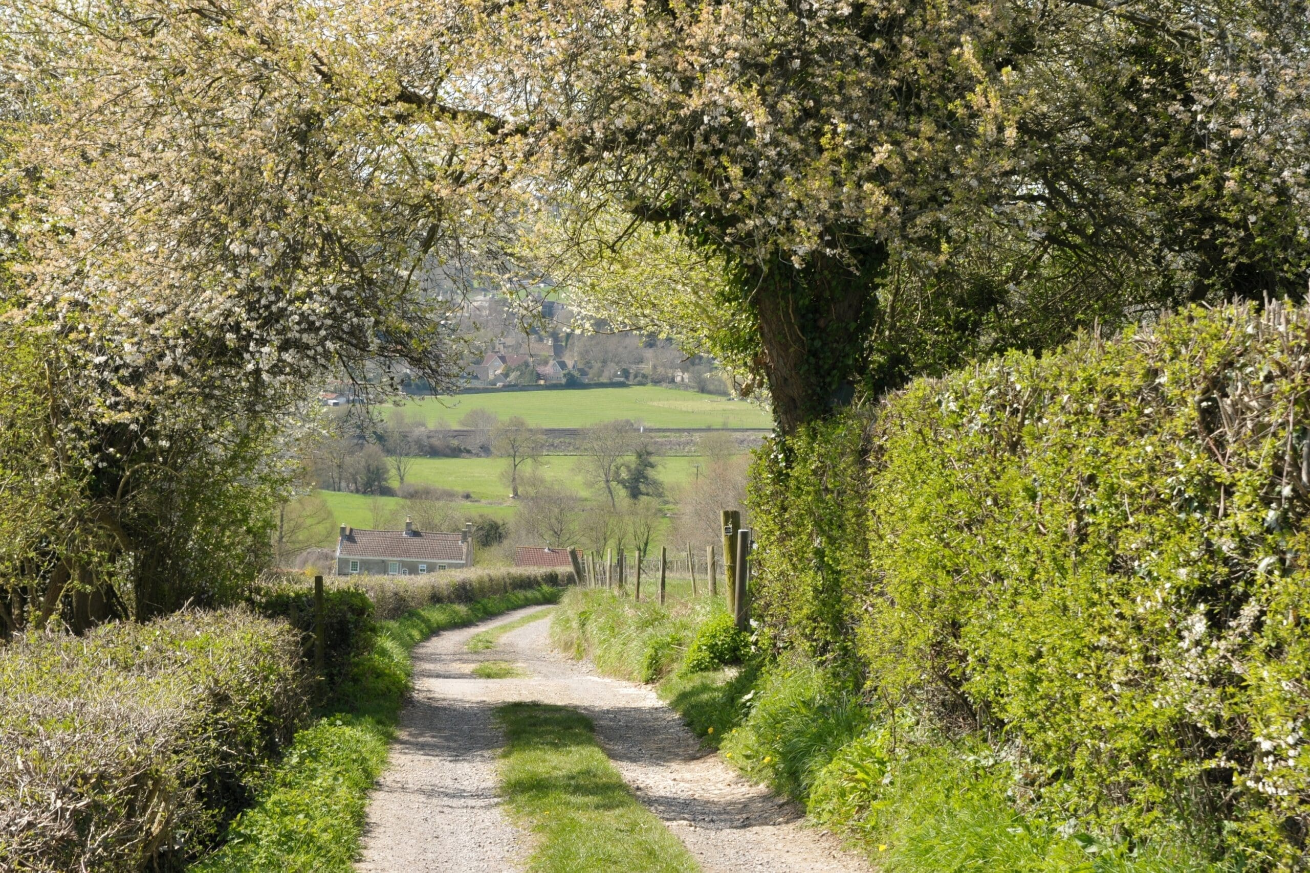Farming Without BPS: How to Keep Your Farm Finances on Track in 2026